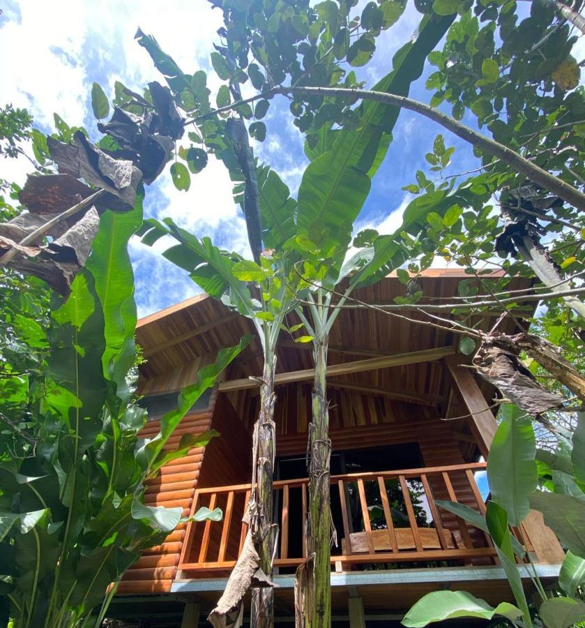 Arenal Rustic Lodge La Fortuna 外观 照片