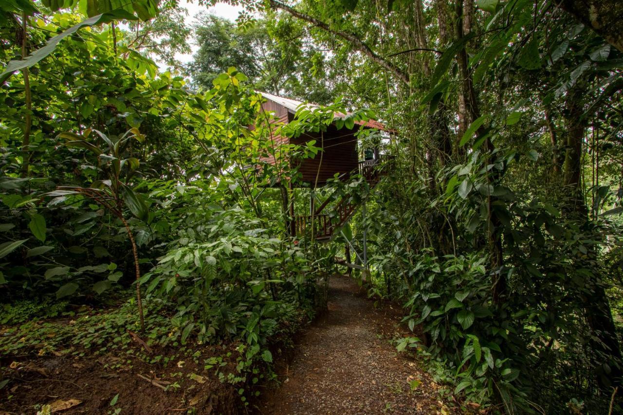 Arenal Rustic Lodge La Fortuna 外观 照片