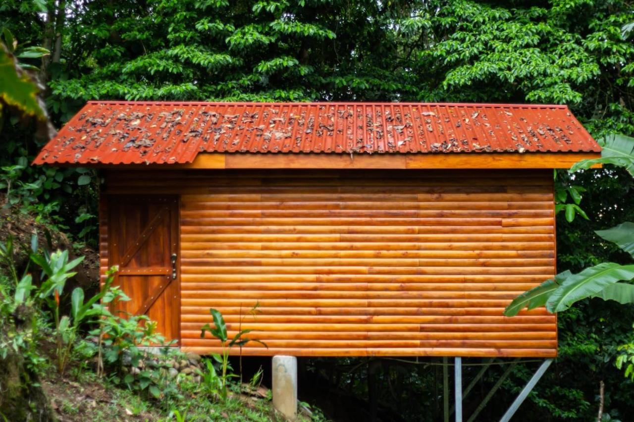 Arenal Rustic Lodge La Fortuna 外观 照片