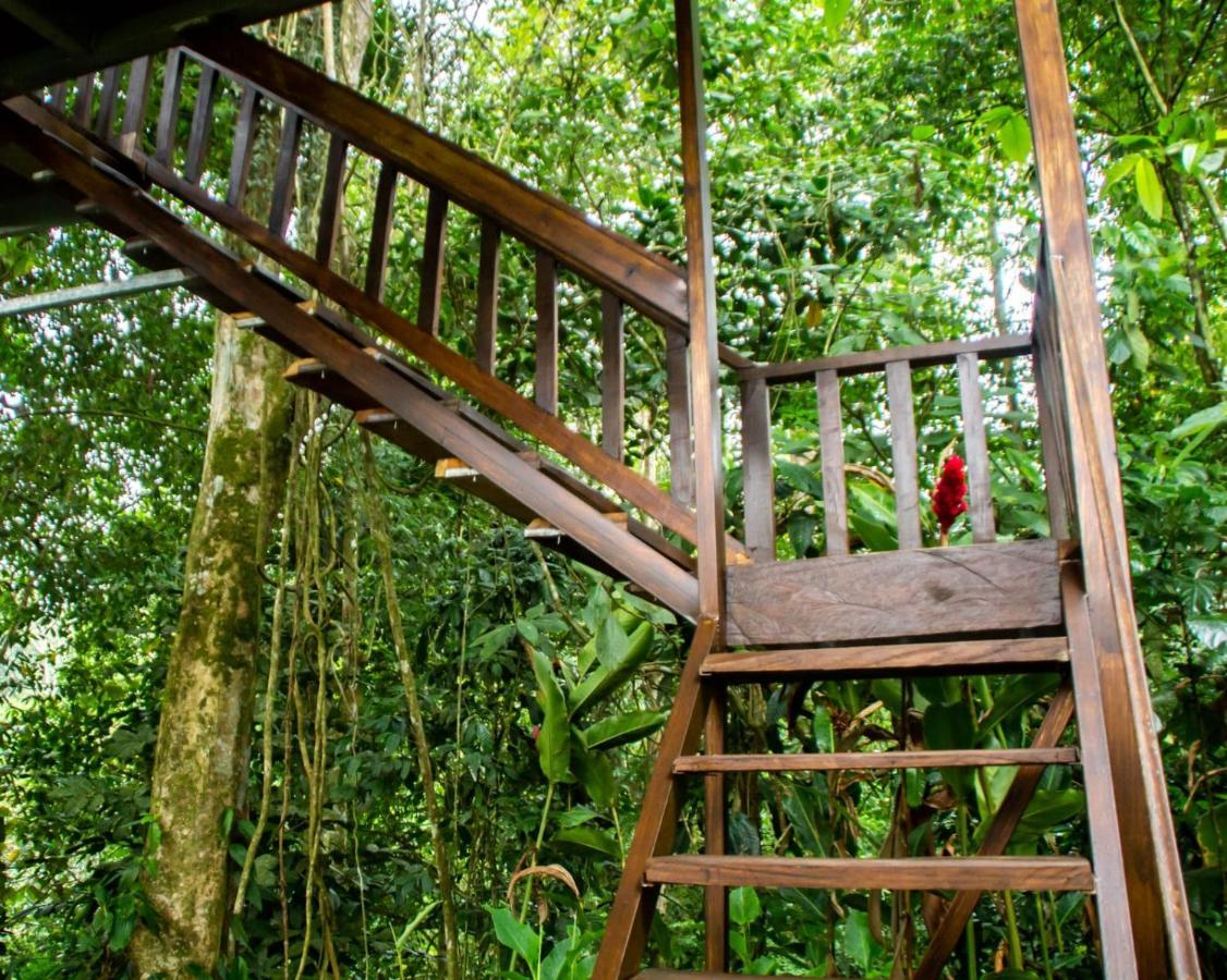 Arenal Rustic Lodge La Fortuna 外观 照片