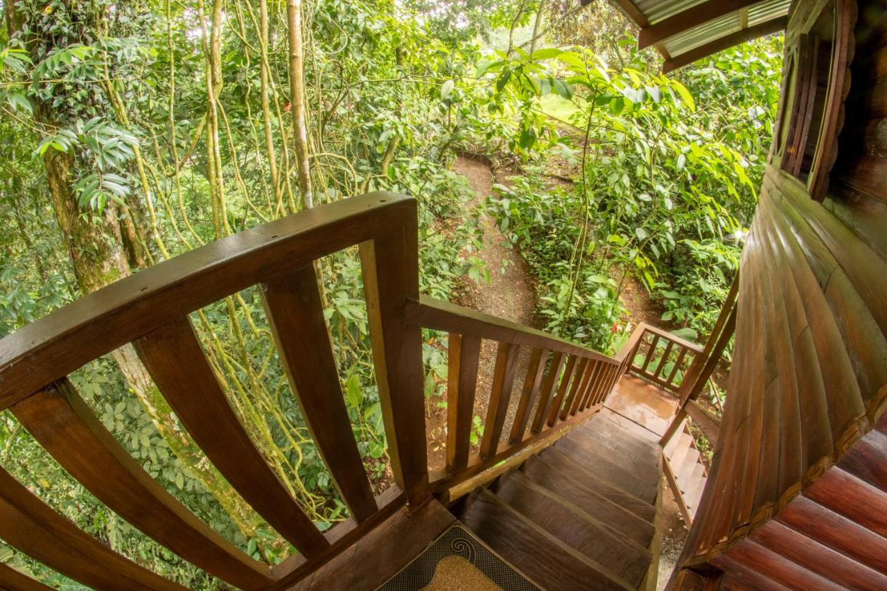Arenal Rustic Lodge La Fortuna 外观 照片