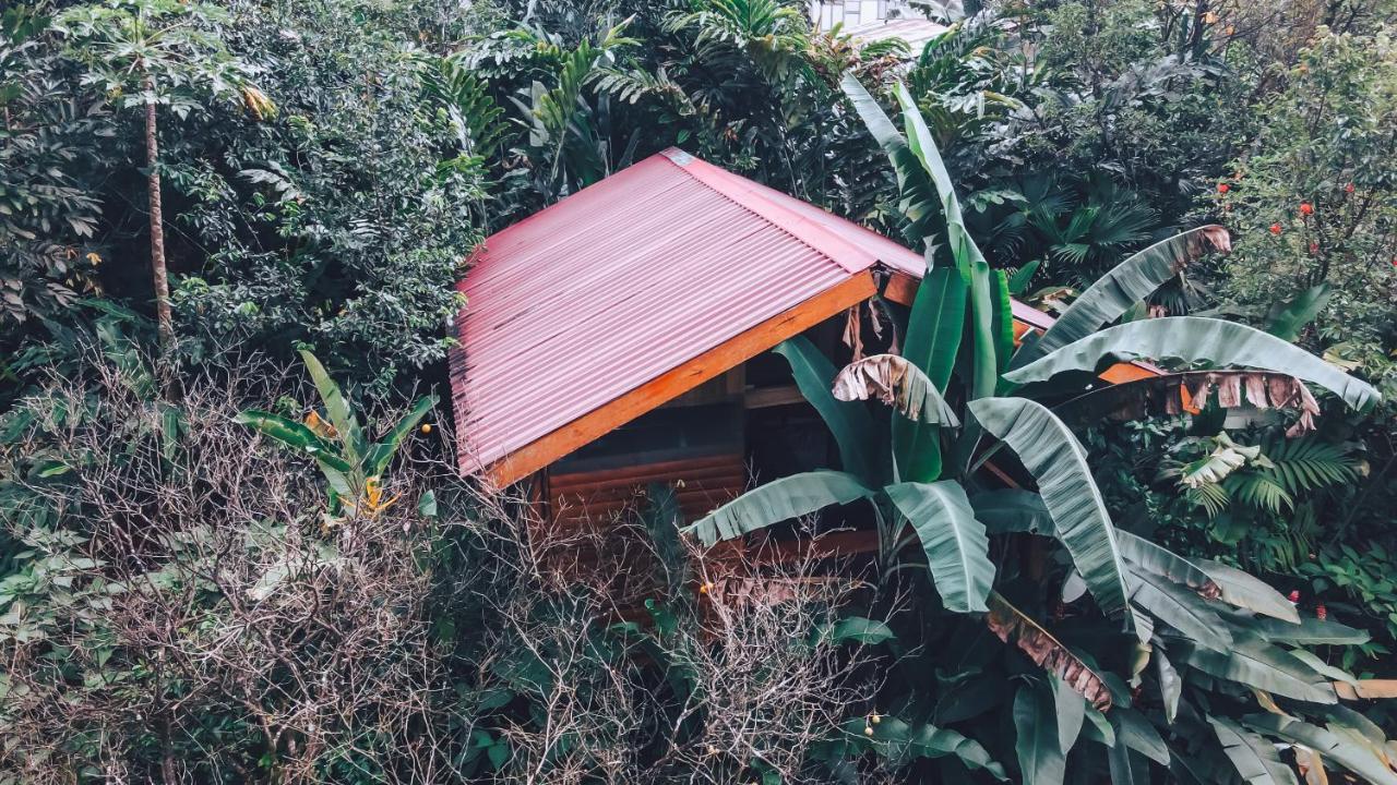 Arenal Rustic Lodge La Fortuna 外观 照片