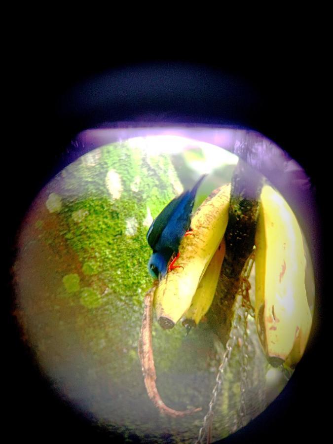 Arenal Rustic Lodge La Fortuna 外观 照片