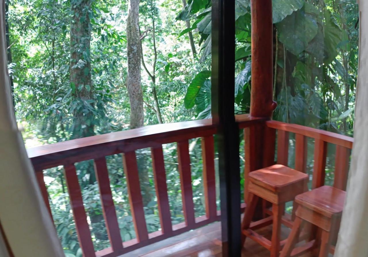Arenal Rustic Lodge La Fortuna 外观 照片