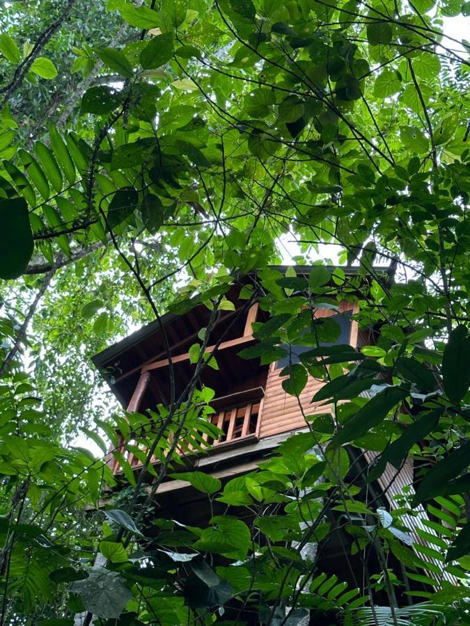 Arenal Rustic Lodge La Fortuna 外观 照片