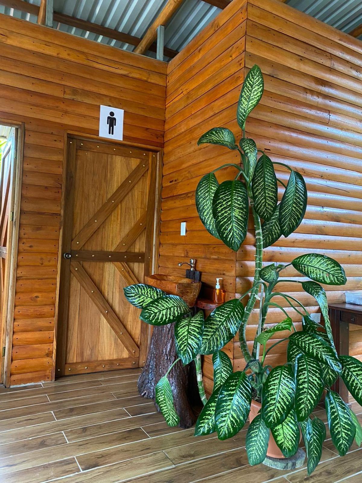Arenal Rustic Lodge La Fortuna 外观 照片