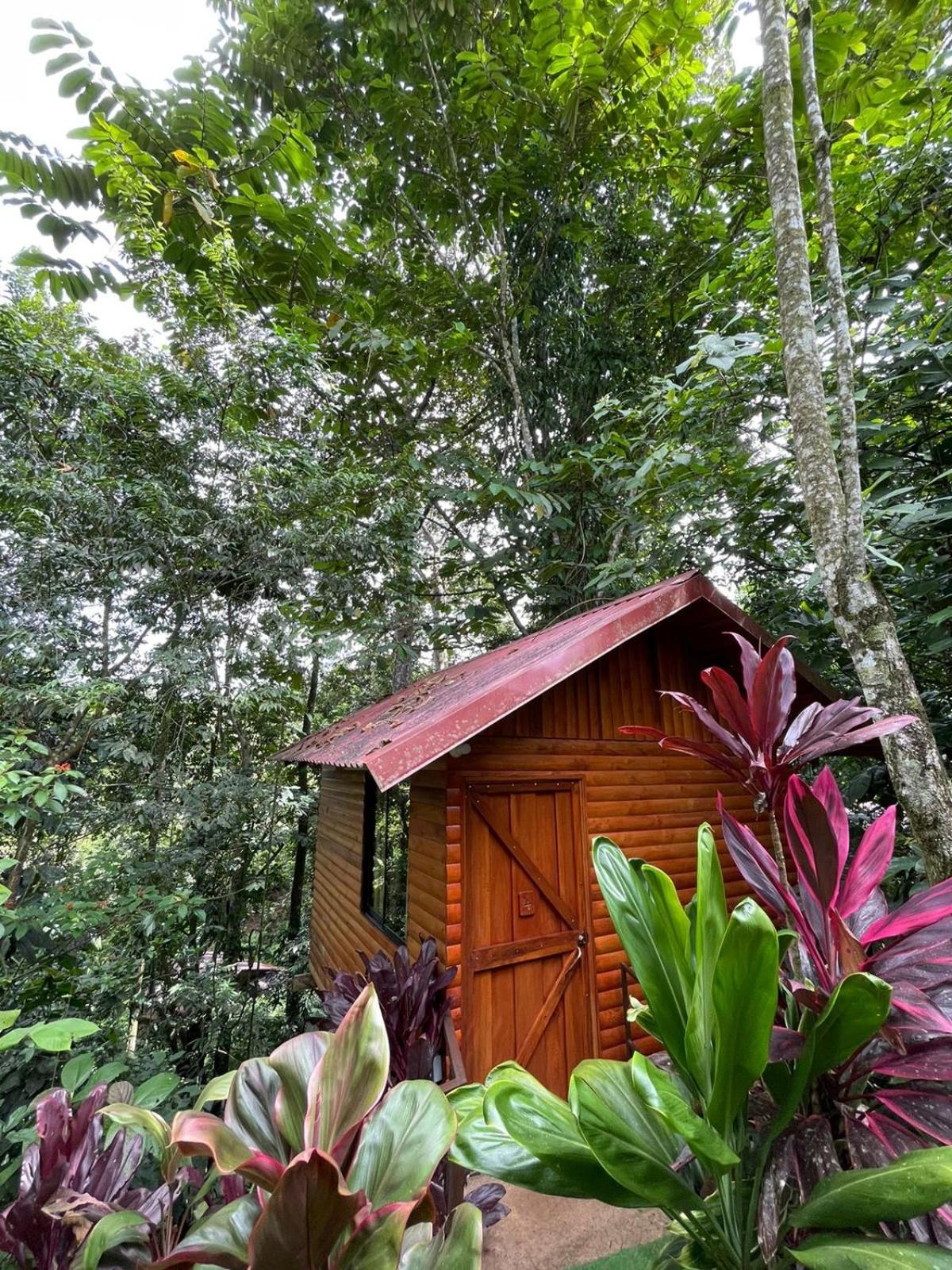 Arenal Rustic Lodge La Fortuna 外观 照片