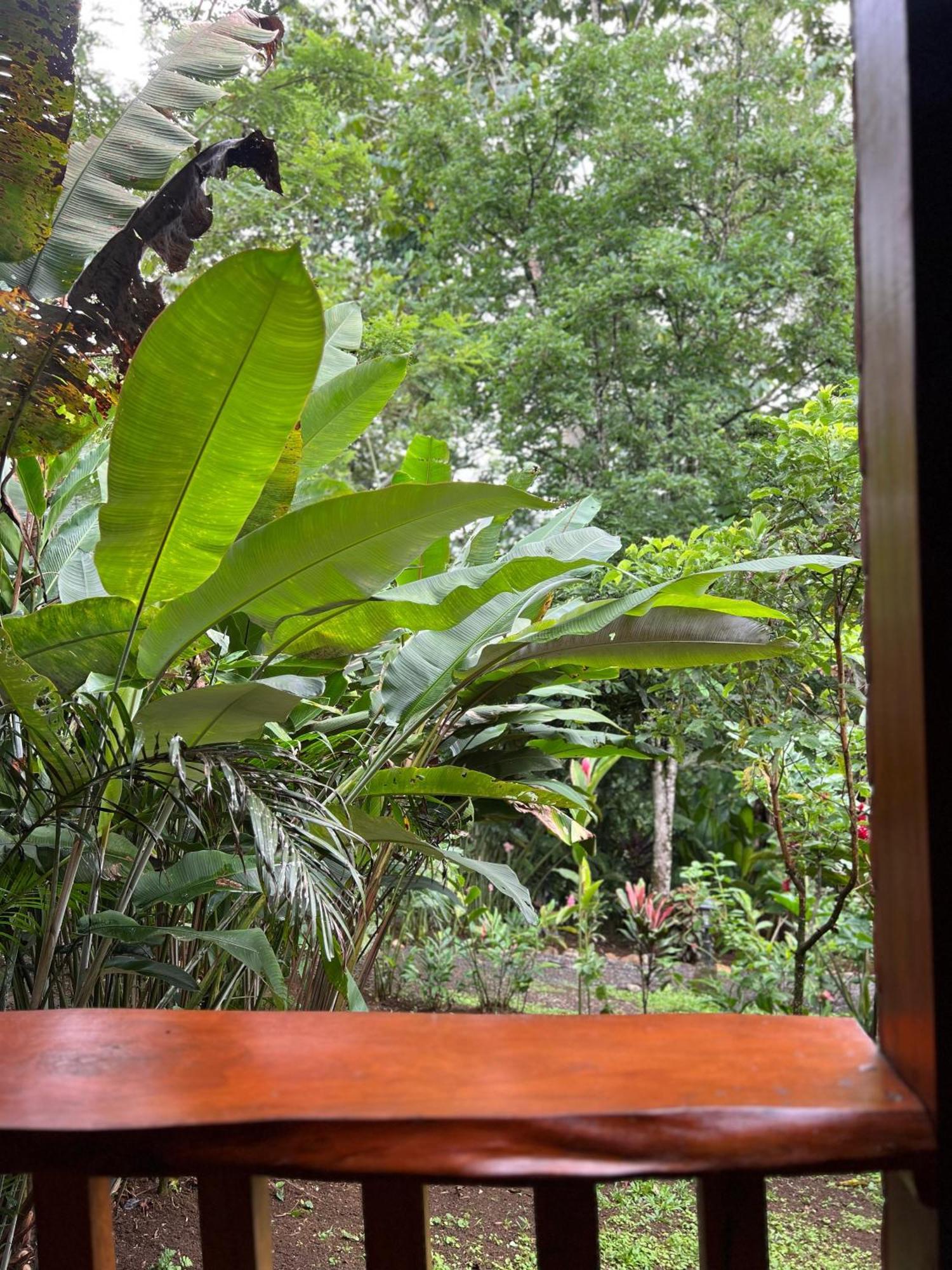 Arenal Rustic Lodge La Fortuna 外观 照片