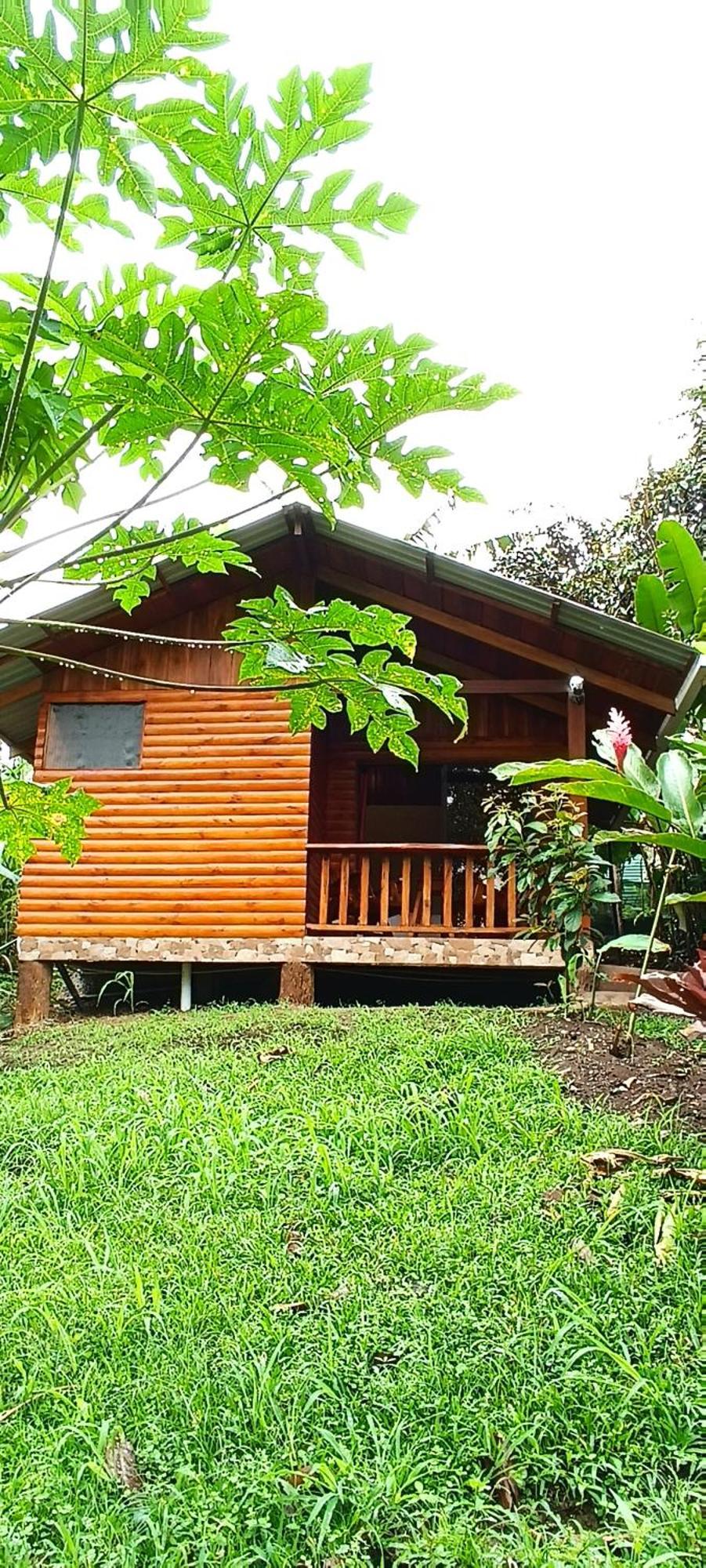 Arenal Rustic Lodge La Fortuna 外观 照片