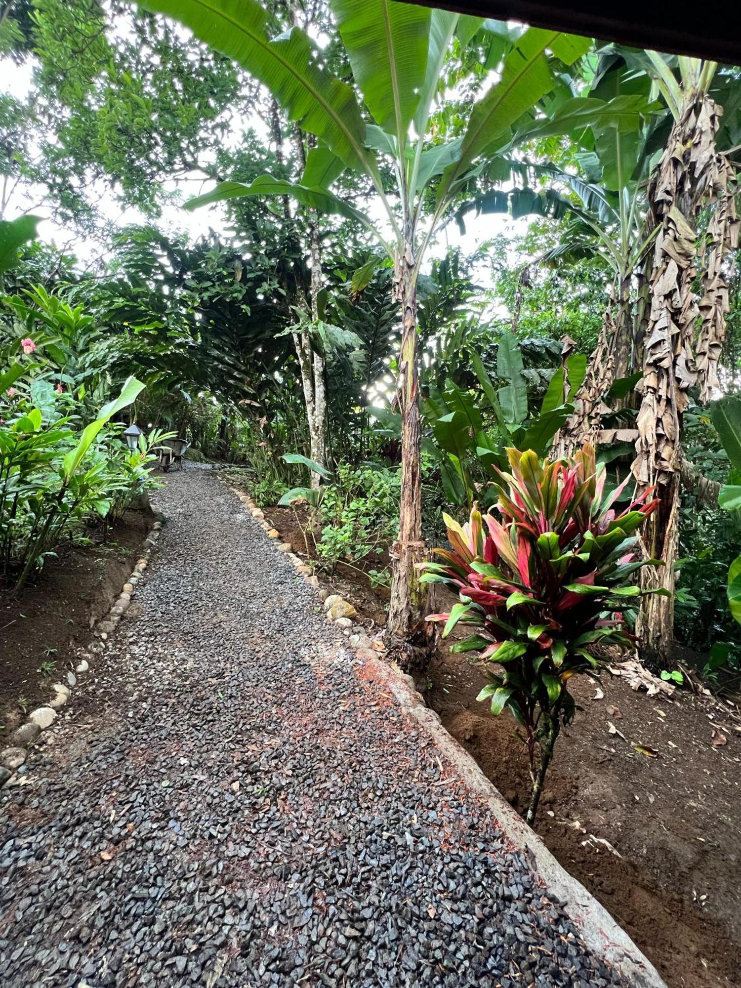Arenal Rustic Lodge La Fortuna 外观 照片